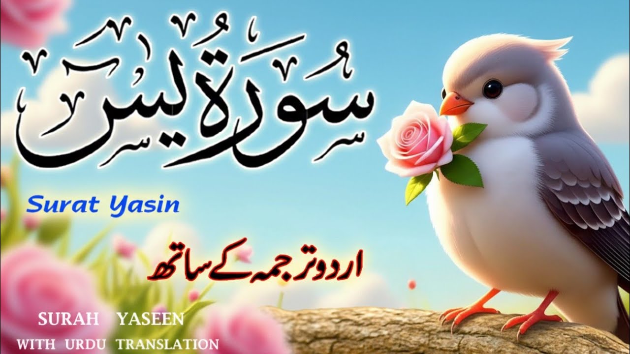 Surah Yaseen Urdu & Hindi Translation | Spiritual Tilawat by Qari Ismail Al Nouri | Episode 380