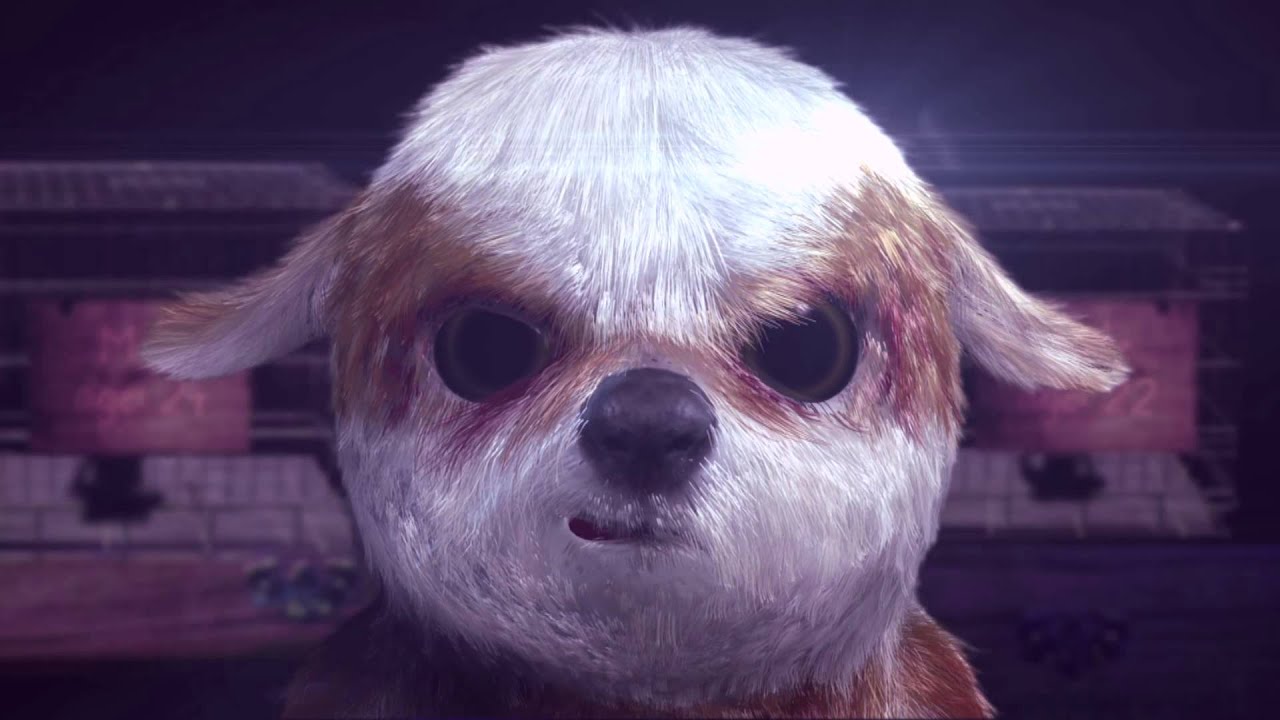 FINAL TRAILER PETOPIA