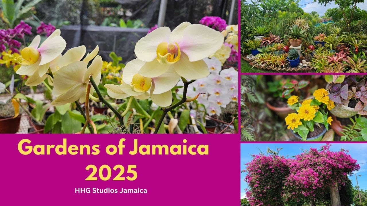 GARDENS OF JAMAICA 2025