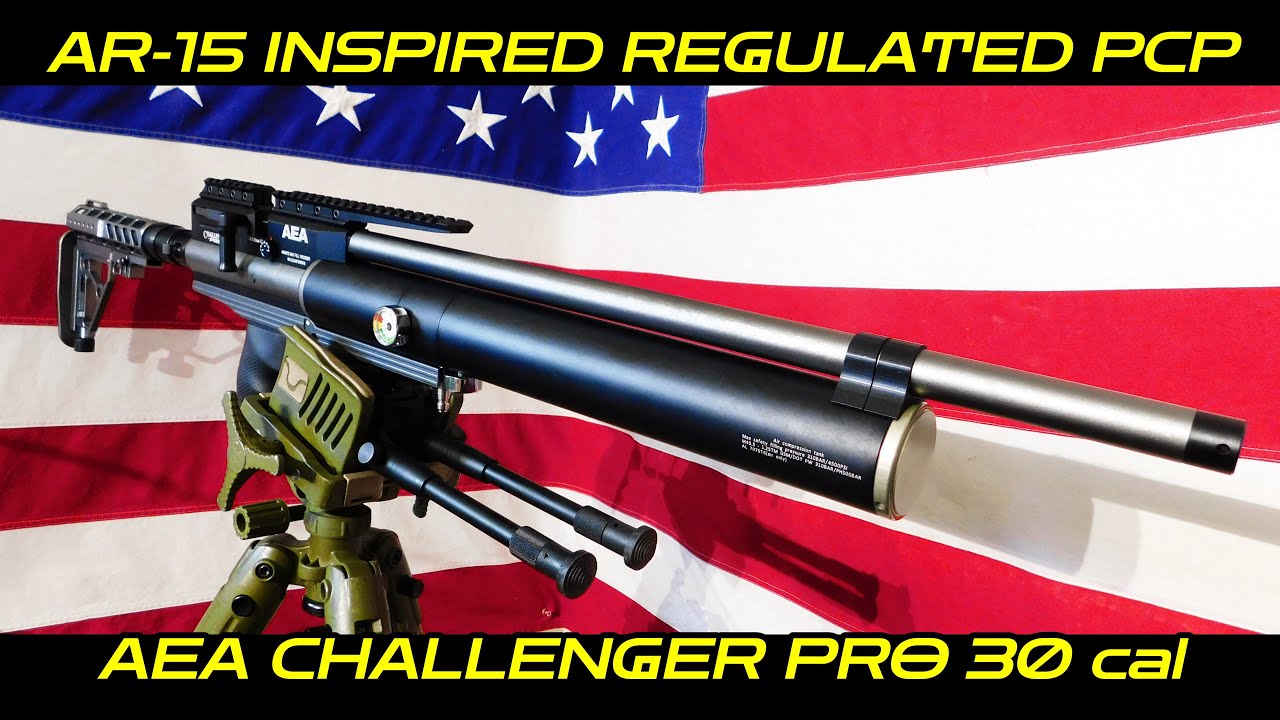 Air Rifle or LASER GUN? AEA CHALLENGER PRO 30 CAL 100 YARD FULL RANGE REVIEW! 10/22 22LR REPLACMENT?
