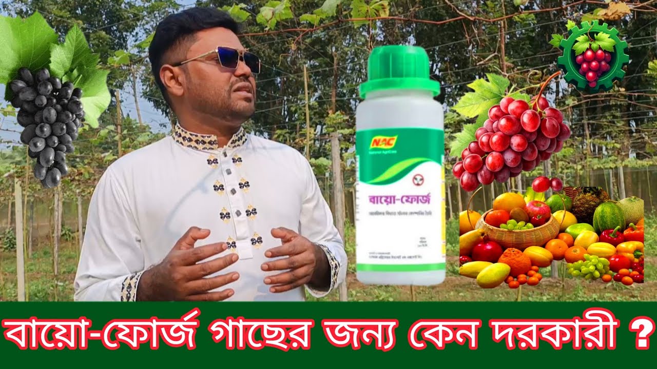 বায়ো-ফোর্জ কেন ব্যবহার করবেন ? 