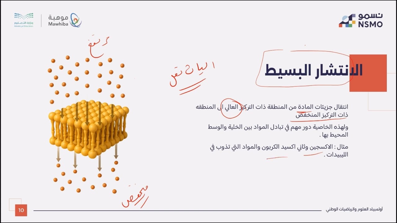 أولمبياد نسمو -تخصص علوم/الأحياء- الدرس الخامس تركيب الخلية 3