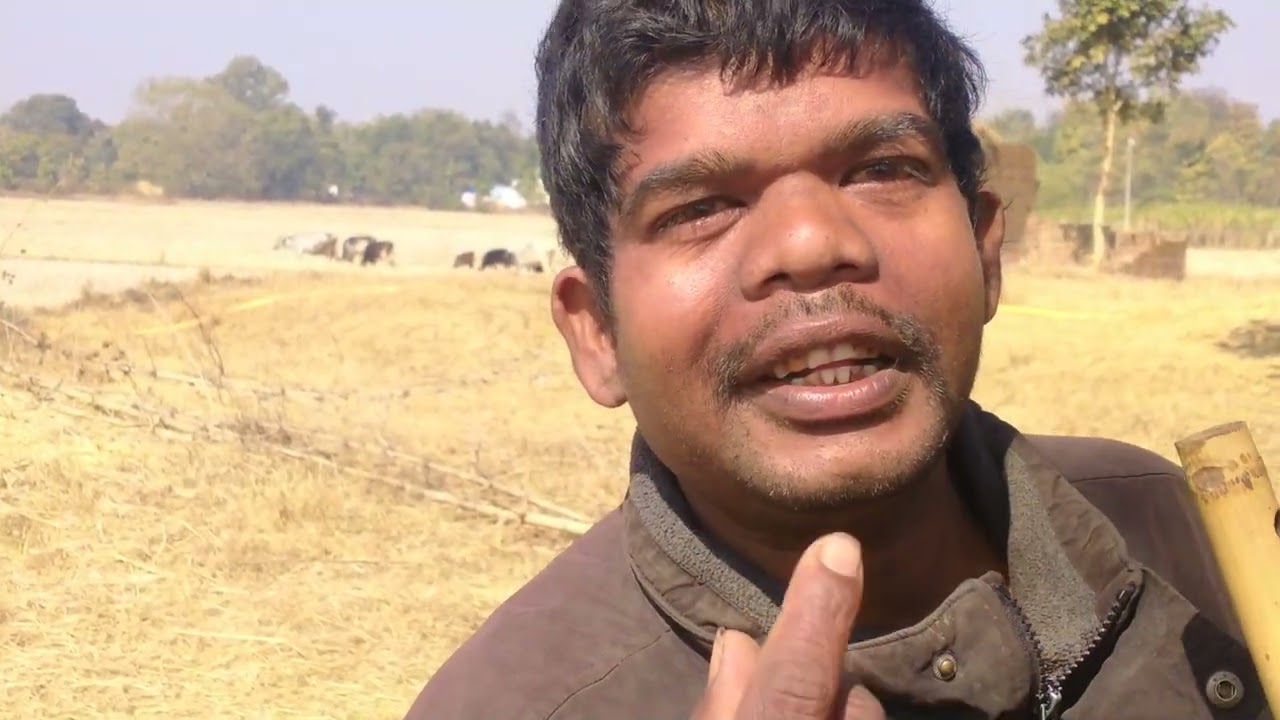 बांसुरी की आवाज सुंदर आवाज 