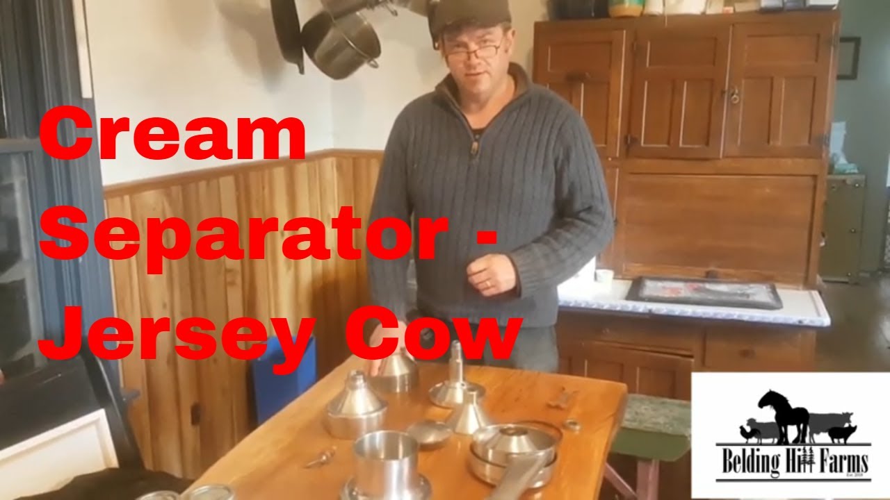 DeLaval Model 105 Cream Separator - Jersey Cow