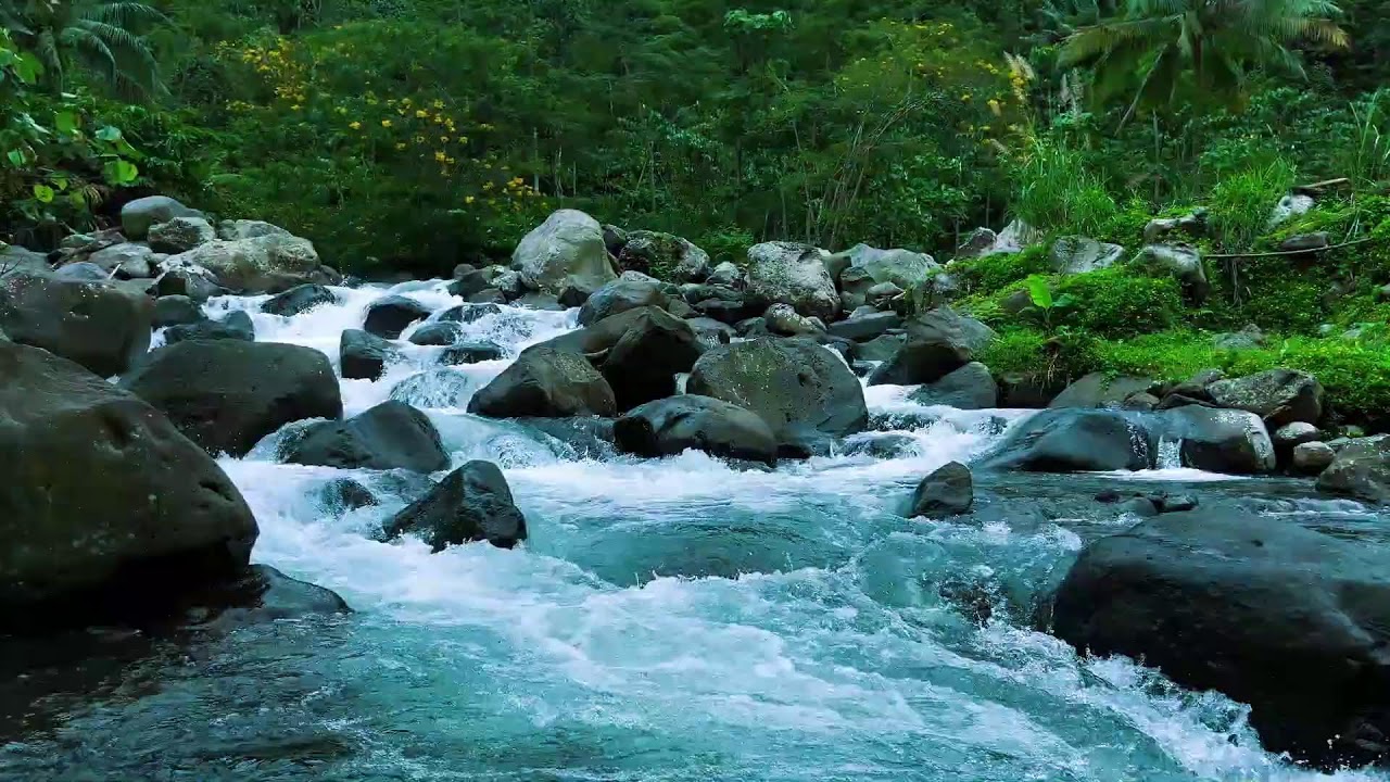 Calm Mountain Stream ASMR for Deep Sleep – Pure Nature Ambience