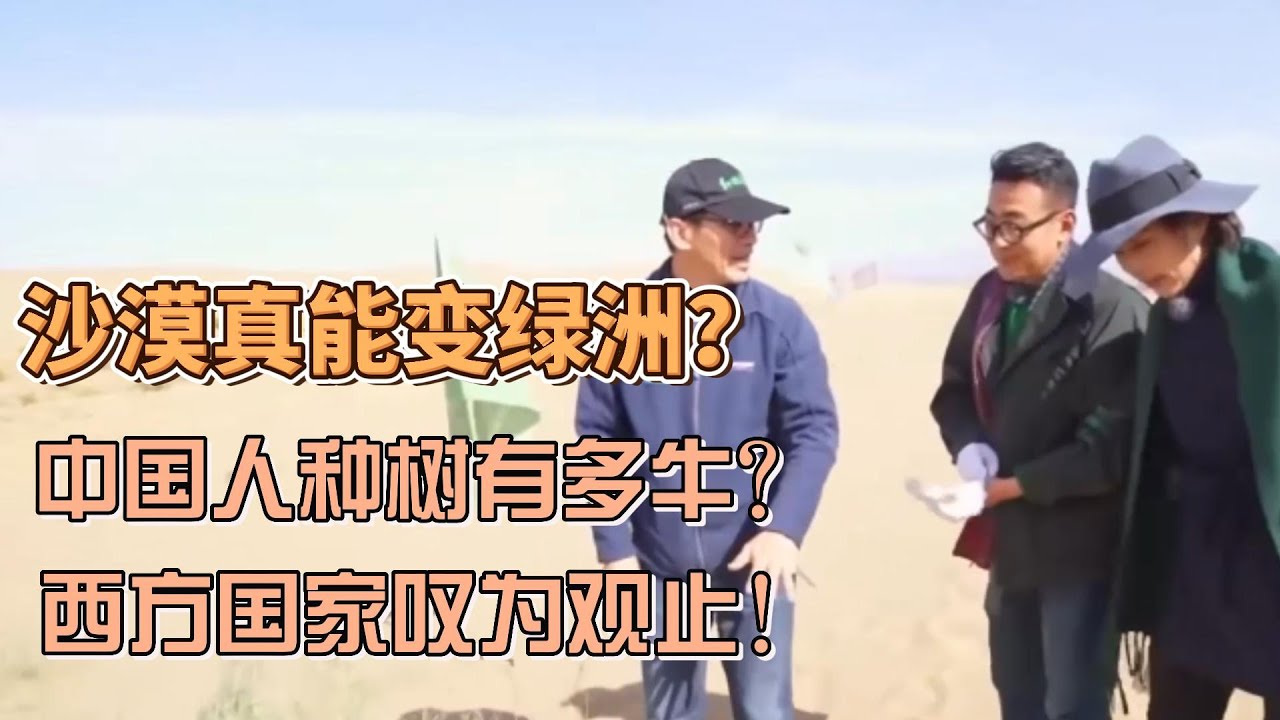 中國人種樹技術有多牛？沙漠真能變綠洲？西方國家歎為觀止！ #圓桌派#窦文涛#锵锵行天下#許子東#观复嘟嘟#马未都