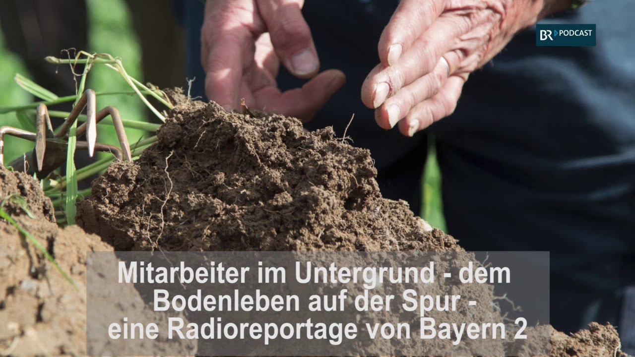 Mitarbeiter im Untergrund - dem Bodenleben auf der Spur - eine Radioreportage auf Bayern 2