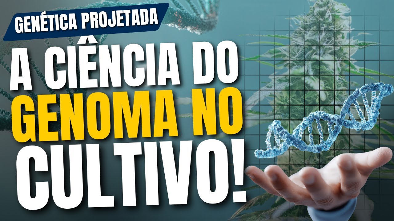 GEN&Eacute;TICA E CI&Ecirc;NCIA: Descubra Qual &Eacute; A Fun&ccedil;&atilde;o Do Genoma?