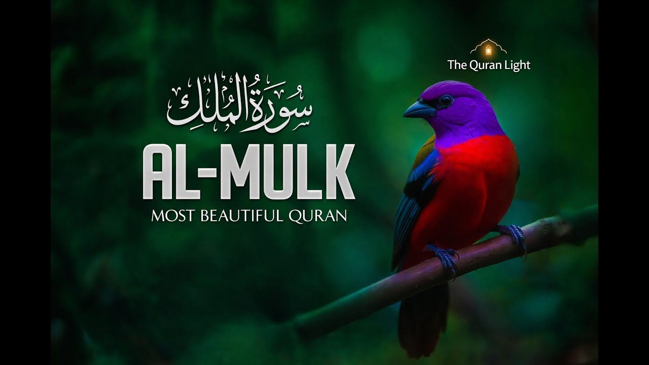 Surah Al-Mulk |Heart Touching Quran Recitation | With English Translation | The Quran Light