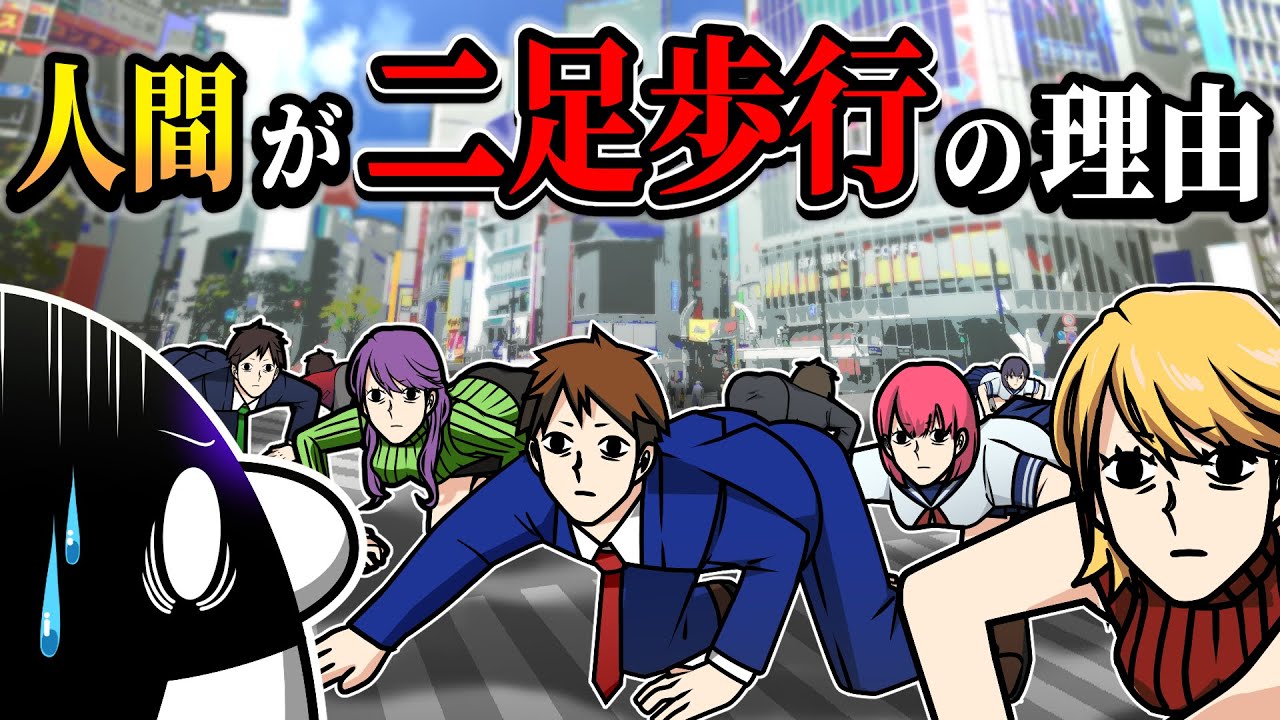人間だけが二足歩行できる理由とは…【アニメ】