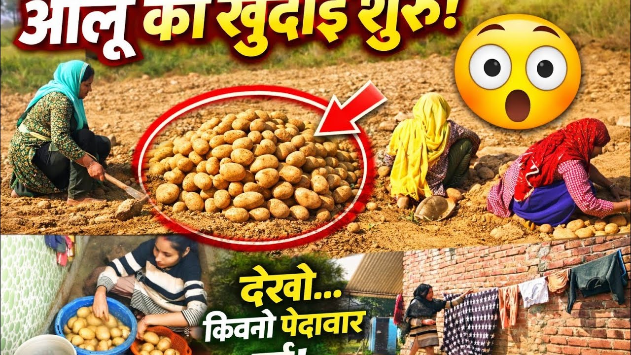 Femily Vlog 💁सुबह से शाम तक | Gaon Family Life Vlog.
