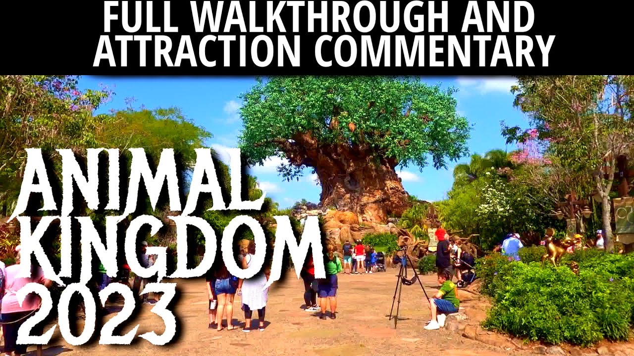 Animal Kingdom - Exploring Set Design and Creative Details