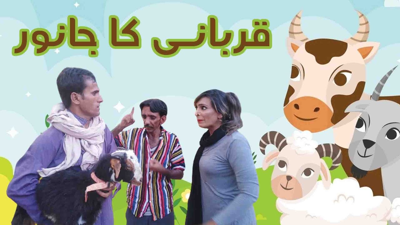 Karachi Maweshi Mandi l Faheem Pakhi l  Manzoor Brohi l بکرا عید پر جانور کی خریداری  @faheempakhi