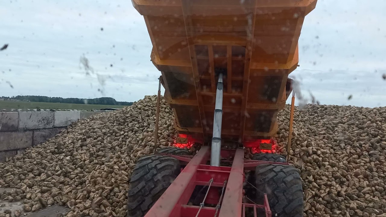 Loonbedrijf Feunekes 6-rijige Agrifac Big Six afvoer new Holland T6070 sugarbeets