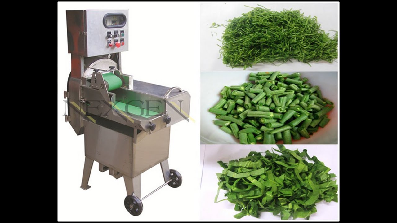 Green Leafy Vegetable Cutting Machine  | Food Processing Solutions | NEXGEN HYGIENE.