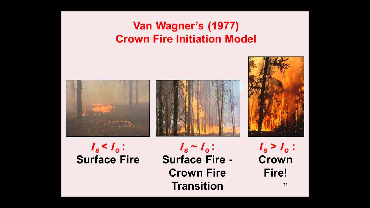 Crown Fire Behavior in Conifer Forests