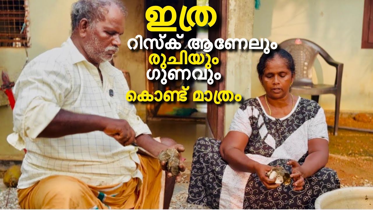 ഒരുപാട് ഗുണമുള്ള മുരിങ്ങ ഇറച്ചി റിസ്ക് ആണേലും അത്യുഗ്രൻ #food #petshub #cookingfish #cooking #fish 
