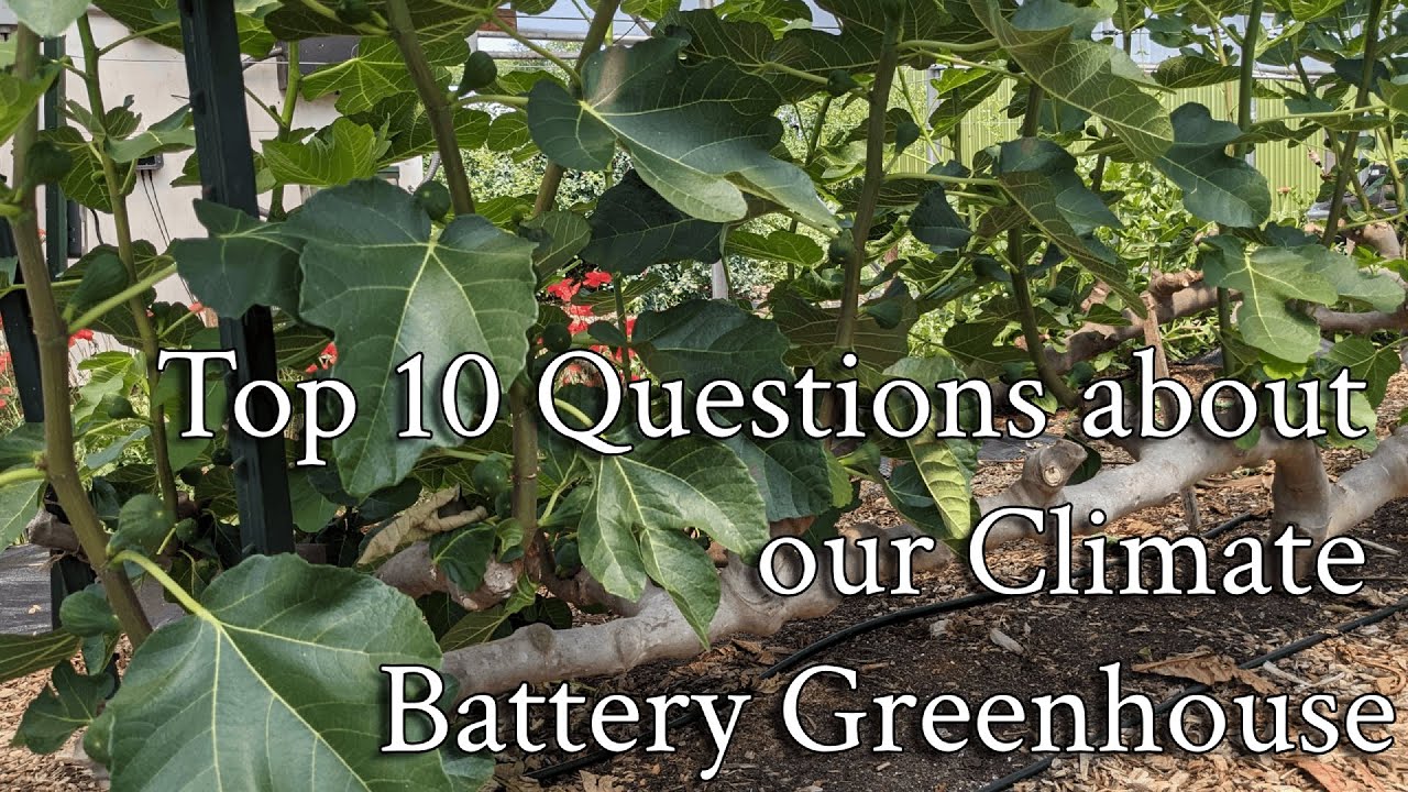 Top 10 Questions About Our Climate Battery Greenhouse