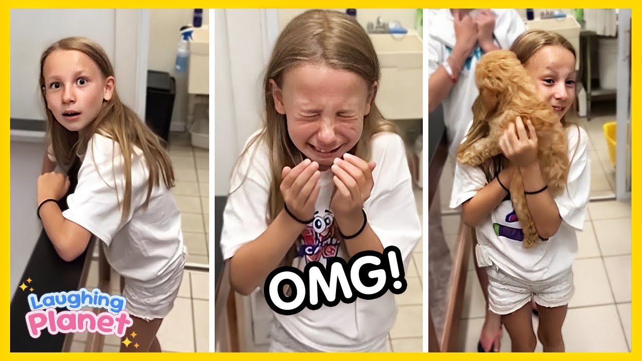 🐕❤️FULL New New Puppy Surprise Compilation 2026🐶