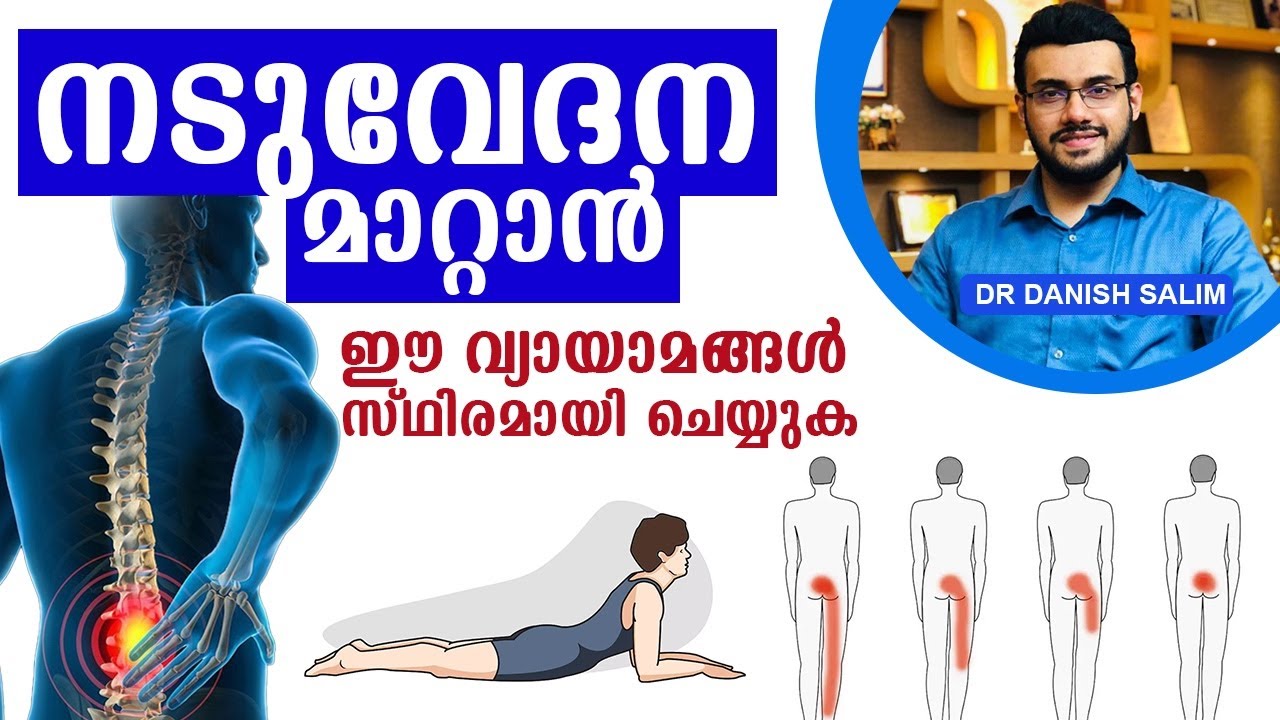 1933 :നടുവേദന പൂർണമായി മാറ്റാനുള്ള വ്യായാമങ്ങൾ | Exercises to relieve Back Pain
