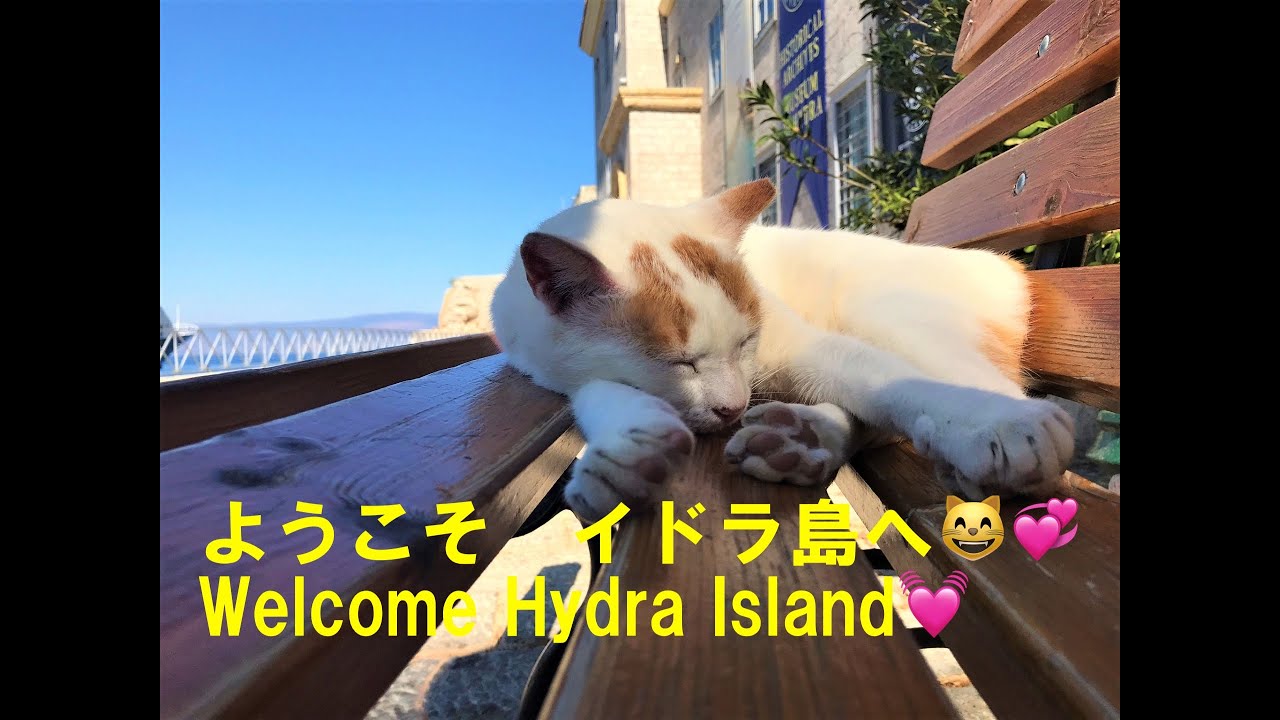 ギリシャのイドラ島へようこそ！Welcome to Hydra, Greece!😸🐈😻🎶
