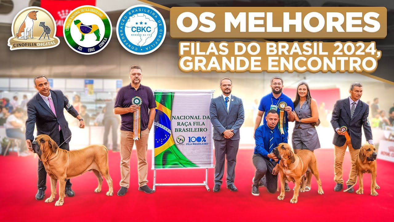 Fila Brasileiro | O Maior Evento da Raça no Brasil | Cinofilia Digital