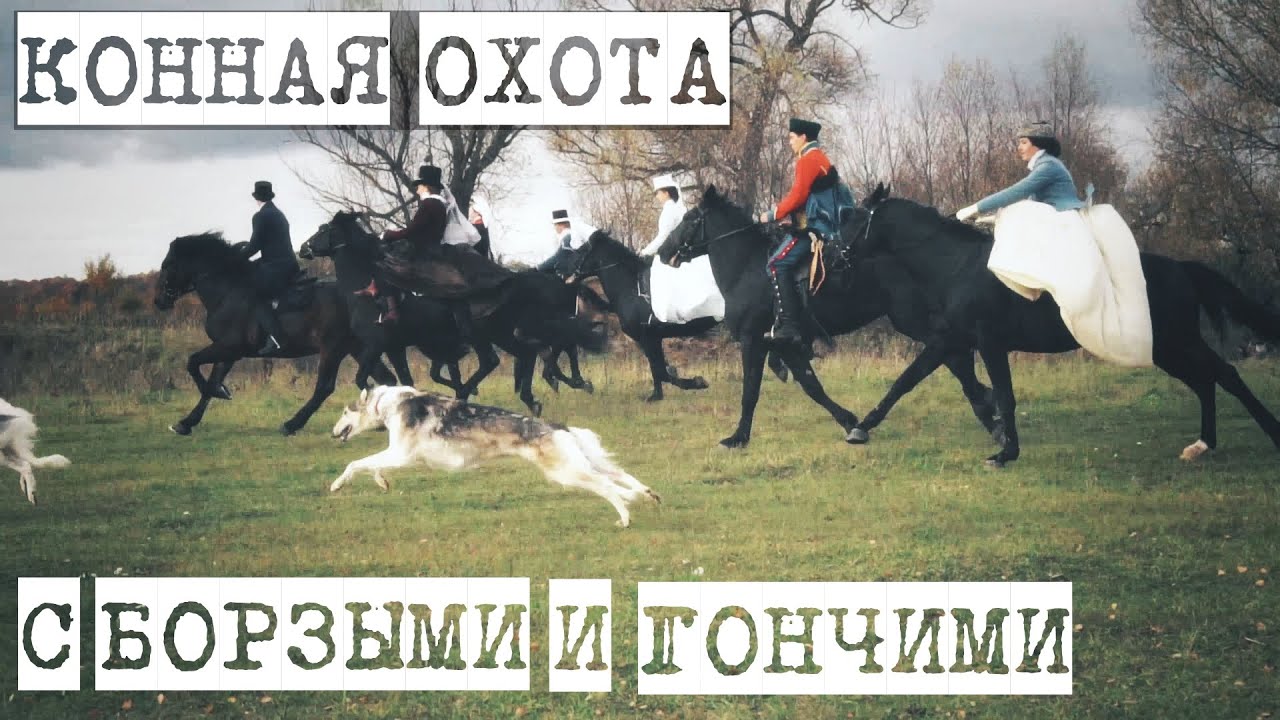 = Конная охота с борзыми и гончими/Russian hunting with borzois and hounds/5.10.19 =