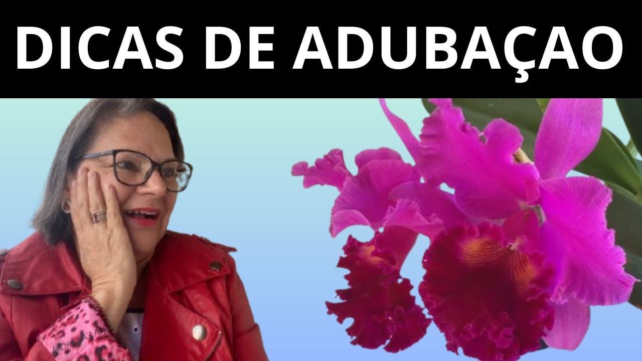 Adubo para orquídeas: como adubar corretamente para resultados incríveis!