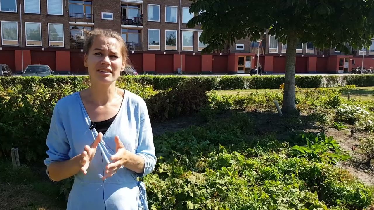 Het Sociaal Team Gouda op Basisschool Wereldwijs