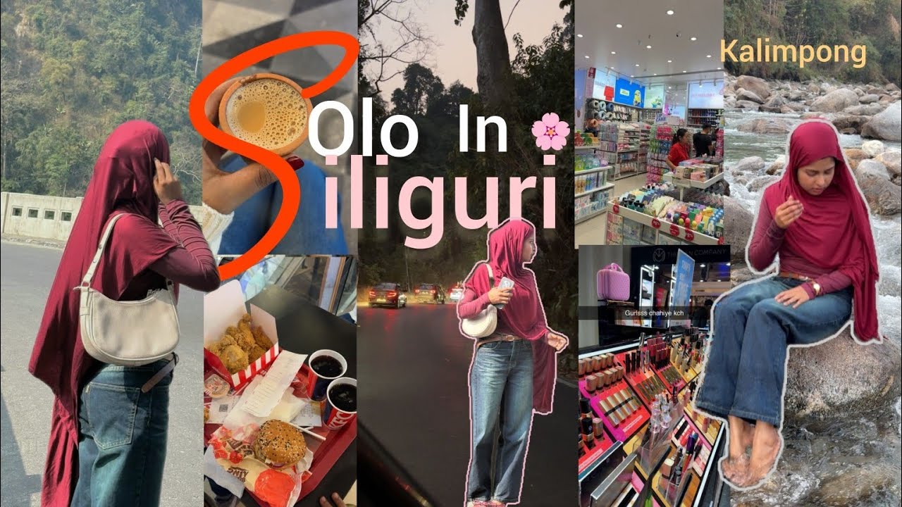A Monkey Attacked 😲 Siliguri Trip ⛰️ shopping, food 🥑, mountain 🏔️,