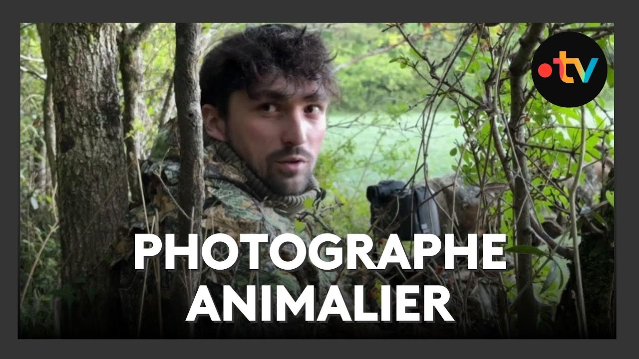 Du master en biodiversit&eacute; &agrave; la photo animali&egrave;re : le parcours de Marc Ollivier