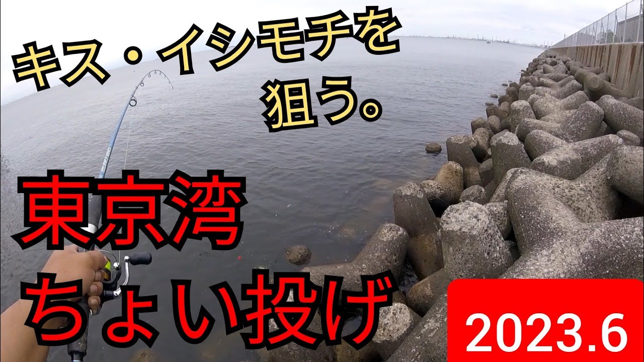 【ちょい投げ】梅雨の東京湾でキス・イシモチを狙う。