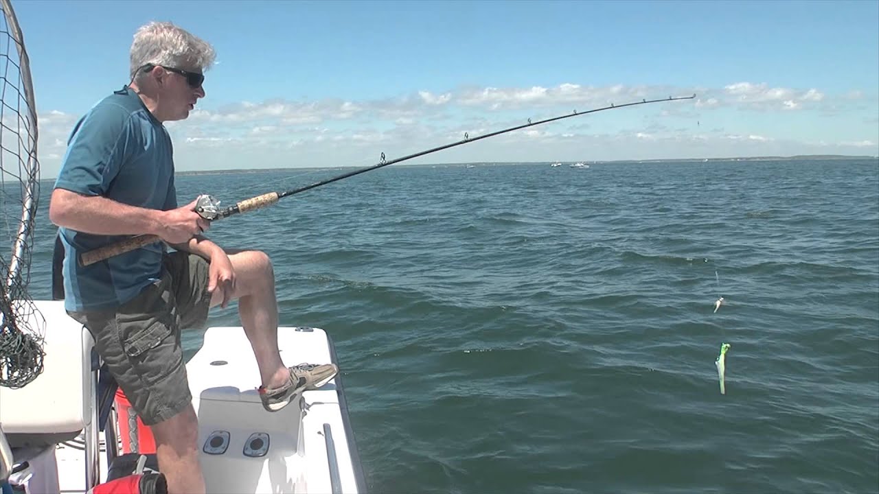 Buzzards Bay Black Sea Bass Fishing