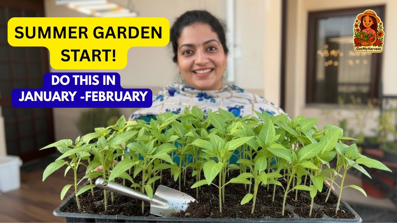 JANUARY - FEBRUARY SEED STARTING: Top 10 SUMMER VEGETABLES to Grow |  Complete Beginner Guide