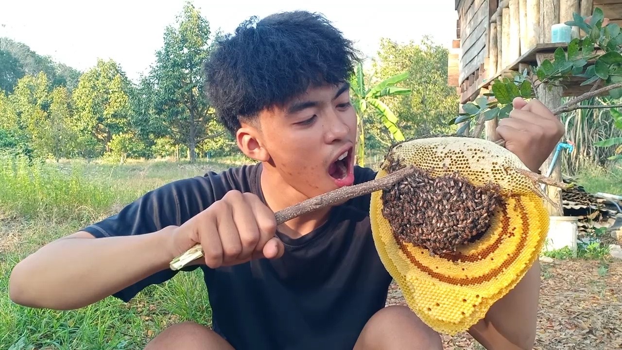 รังมิ้มใหญ่ๆกินสดๆ แบบไม่กลัวตัวแม่ หัวนํ้าหวานเยอะมาก.