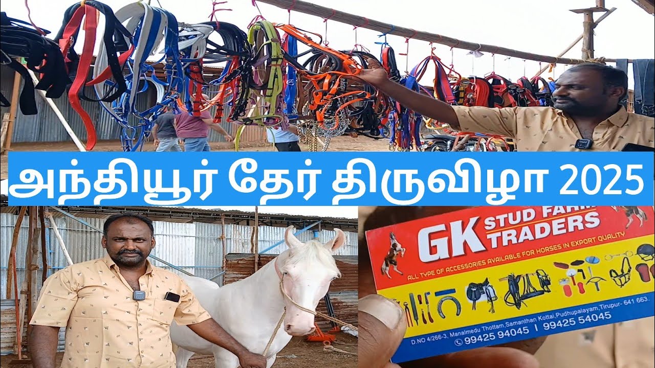 அந்தியூர் தேர் திருவிழா # குதிரைகளுக்கான அனைத்து உபகரணங்களும் தரமான குதிரைகளும்  விற்பனைக்கு உள்ளது 