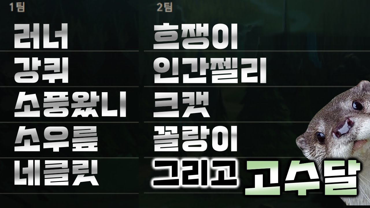 인싸 스트리머가 된 고수달의 롤 내전