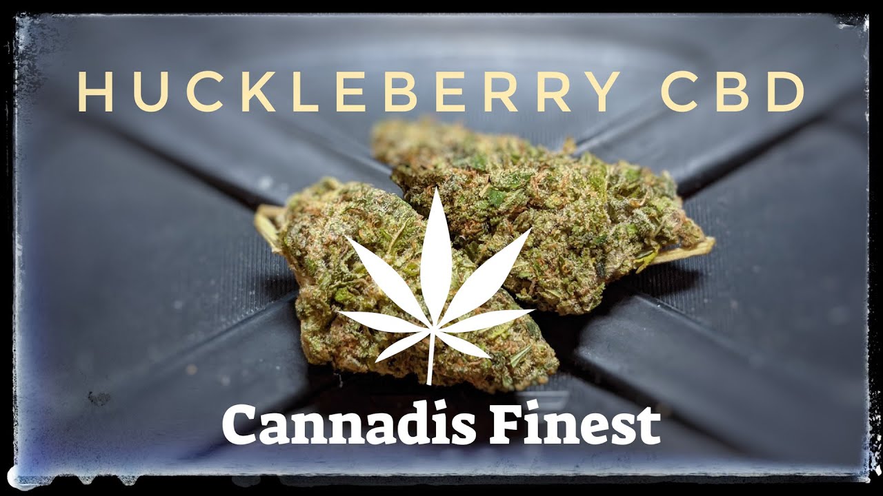 Strain Review - Huckleberry CBD - The Strain so Great I Reviewed it Twice