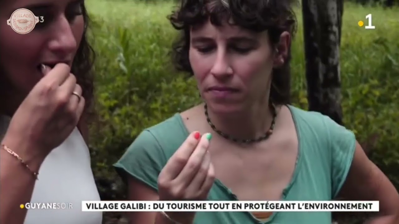 VILLAGE GALIBI AU CŒUR DE L'OYAPOCK BRÉSIL