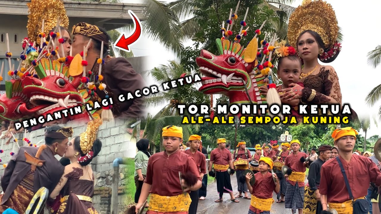 TOR MONITOR KETUA BIKIN PENGANTIN GACOR ALE-ALE SEMPOJA KUNING PALUNG DALEM