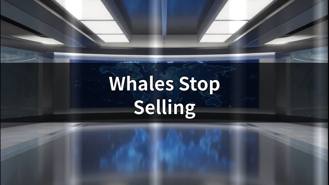 Bitcoin Whales Reversed 12-Day Sell-Off at Retail Panic Bottom