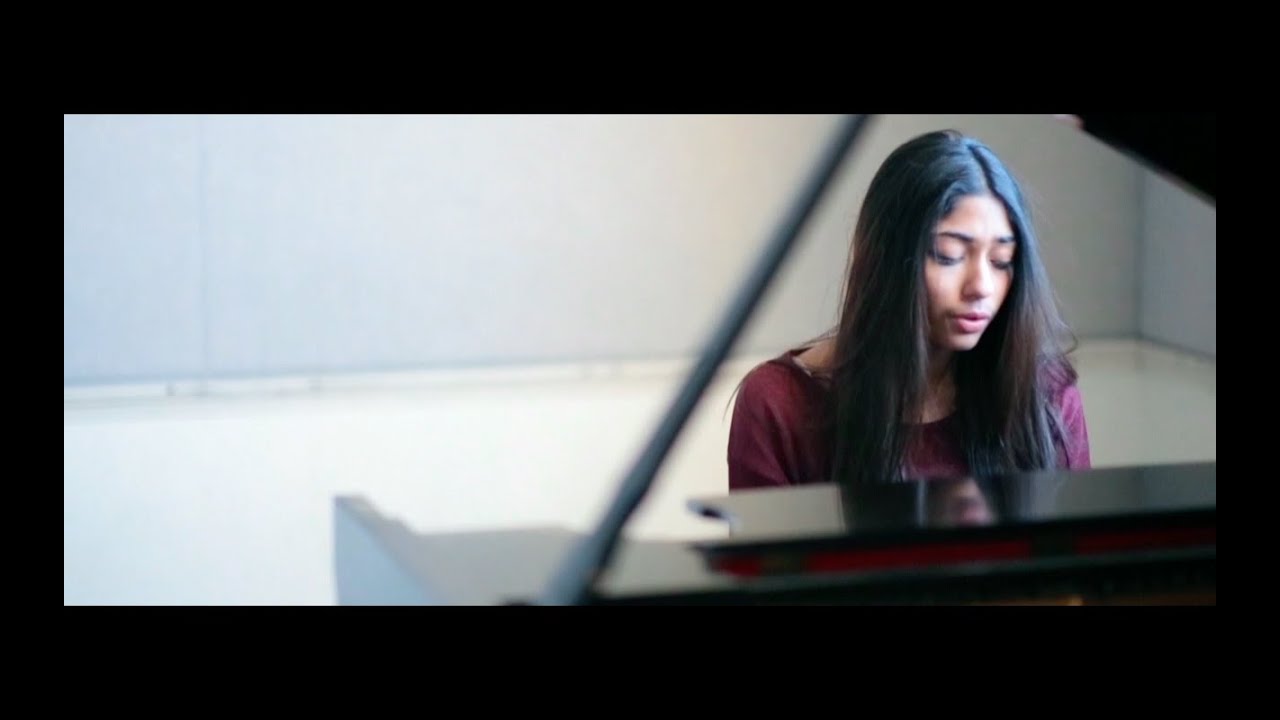 Memory (Cats) [HD] - Vidita Kanniks