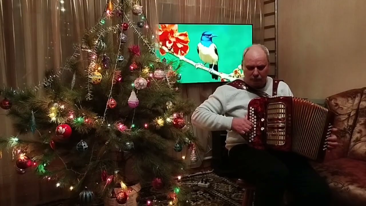 ,Володимир Щербаков на гармоні ,,,, Ромашка чарівна ,,,