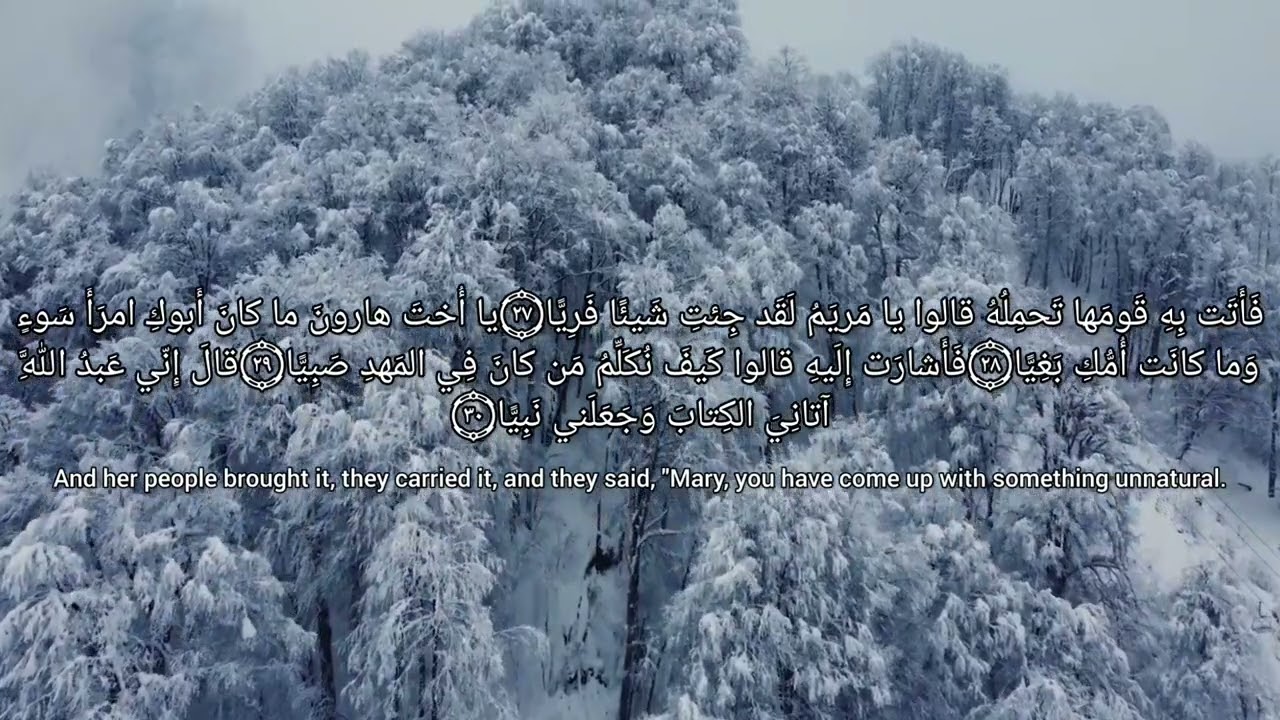 الهدوء والسكينة وأروع الأصوات مع الشيخ السيد الشاذلي