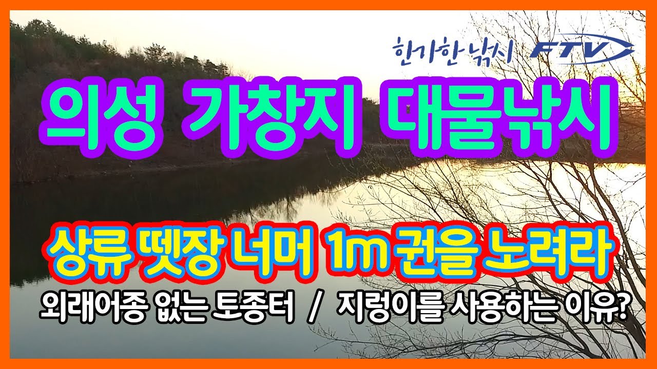 [FTV 한가한낚시] 대물 붕어낚시 의성 가창지 (가창저수지) - 외래어종 없는 순수 대물터 - 왜? 상류 수초지역을 공략하는가?