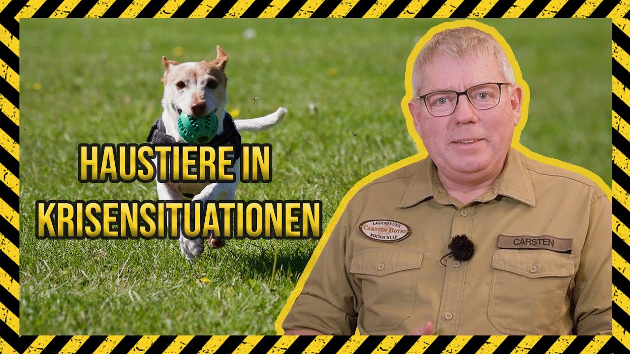 Haustiere in Krisensituationen | 11. Folge | Carsten Bothe