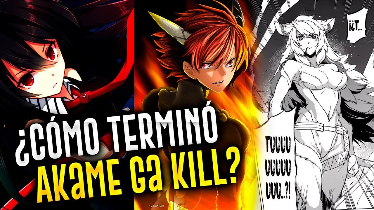 How did Akame ga Kill! end? | Manga ending