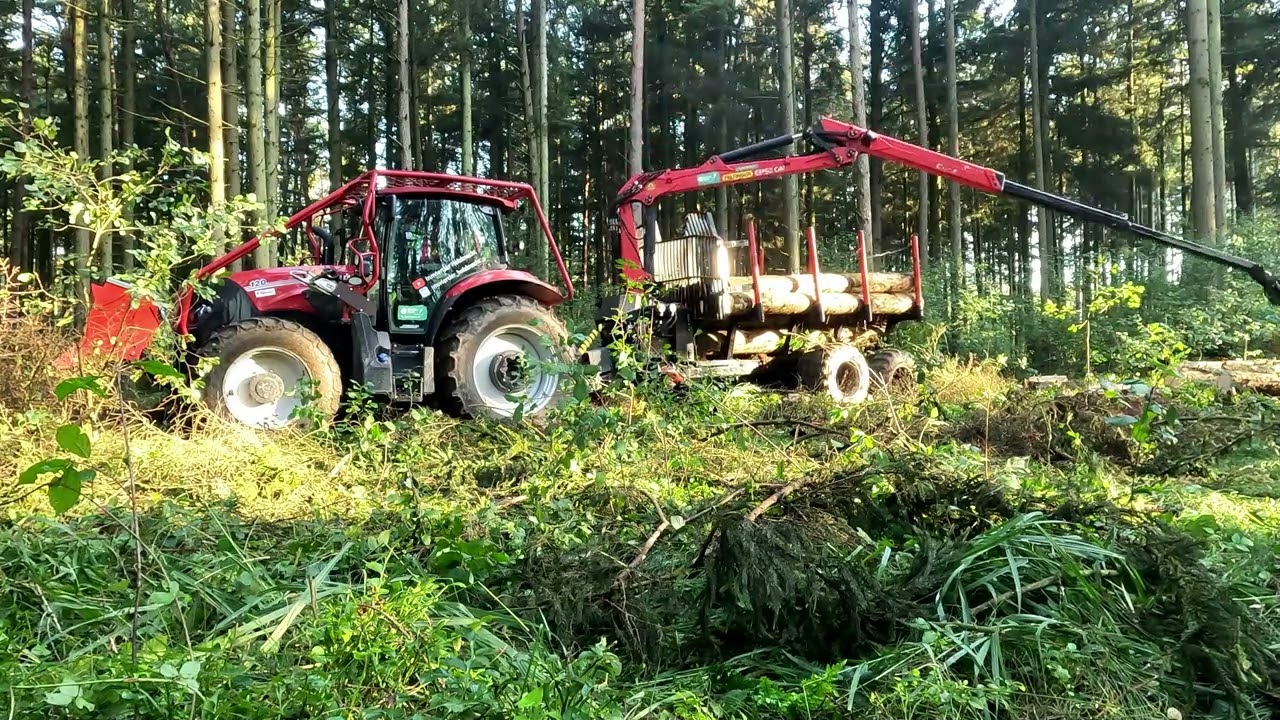 Holz ausfahren mit Palfinger Epsilon C60F