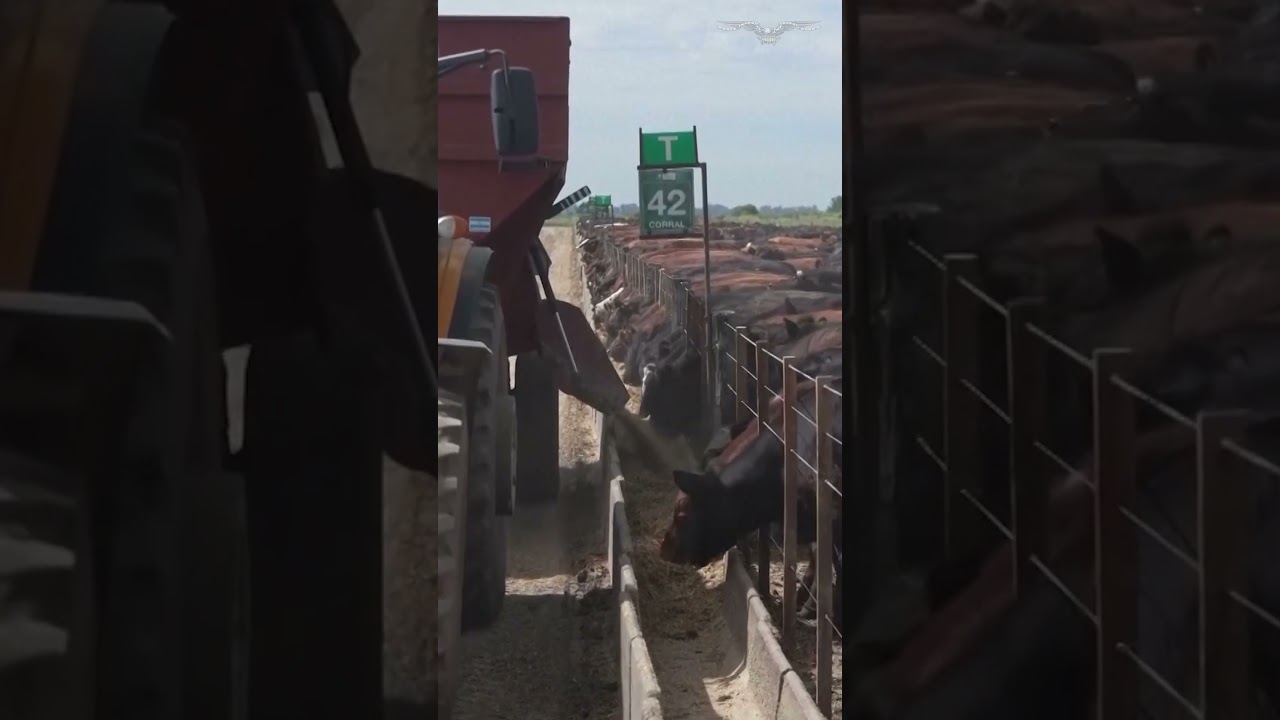 Белый дом объявляет о торговых &laquo;рамках&raquo; с Аргентиной, Сальвадором, Эквадором и Гватемалой