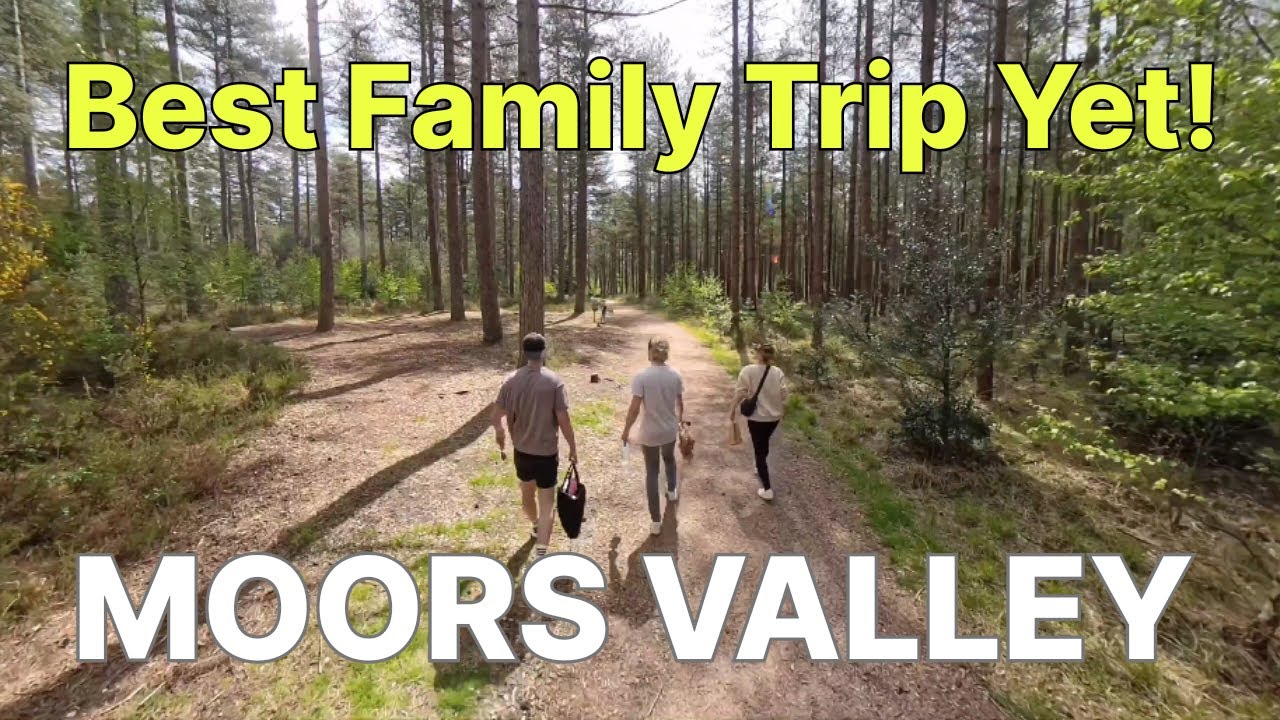 Discovering Moors Valley Country Park with the Fam – Nature, Laughs & Surprises!